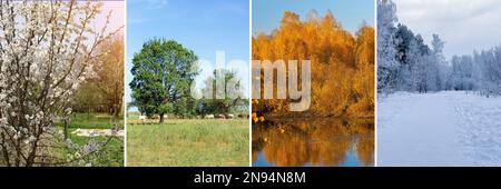 Four seasons of year. Set of nature banners. Spring, summer, autumn, winter. Collage of 4 photos Stock Photo