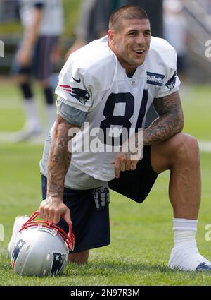 New England Patriots wide receiver Brandon Lloyd (85) celebrates his  touchdown pass with tight end Aaron Hernandez (81) during the first quarter  of an NFL football game against the Houston Texans in