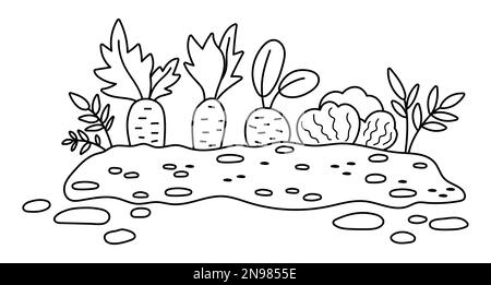 Vector black and white garden sprouted plants isolated on white background. Outline spring vegetable nursery bed illustration. Gardening or farm seed Stock Vector
