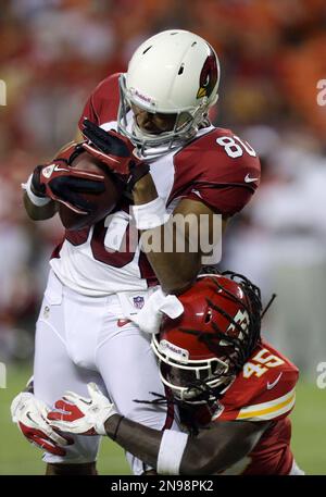 Arizona Cardinals wide receiver Ed Gant warms up before the start of a preseason  NFL football game against the Tennessee Titans on Monday, Aug. 23, 2010, in  Nashville, Tenn. (AP Photo/Frederick Breedon