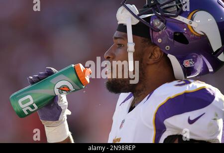 Minnesota Vikings defensive back Jamarca Sanford (33) on the sideline  during a game against the Minnesota Vikings at Heinz field in Pittsburgh  PA. Pittsburgh won the game 27-17. (Credit Image: © Mark