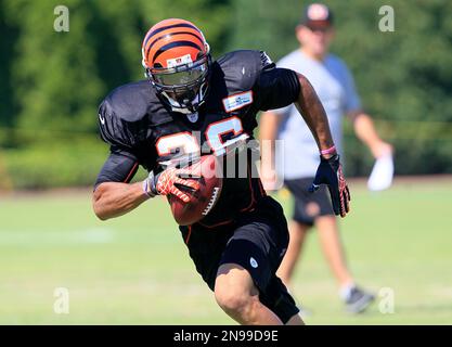 Cincinnati Bengals safety Taylor Mays talks to a teammate during