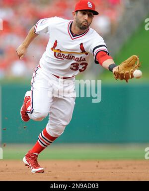 March 27, 2023; Sarasota FL USA; St. Louis Cardinals second baseman Tommy  Edman (19) throws to first base during an MLB spring training game against  t Stock Photo - Alamy