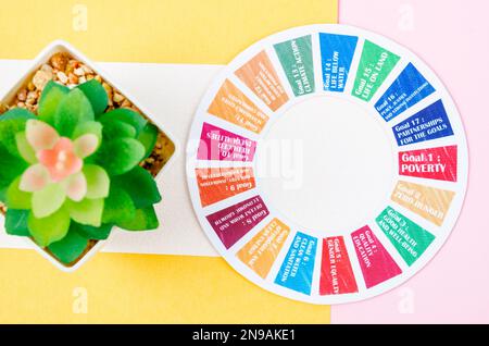 SDGs 17 development goals environment on yellow background. Environment ...