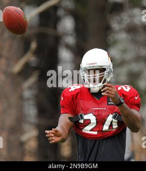 Arizona Cardinals Adrian Wilson 24 keeps his eyes on the ball