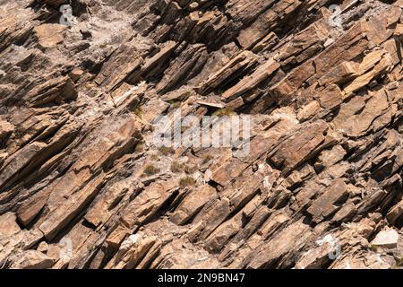 Background photo on a sunny day of a natural stone wall Stock Photo
