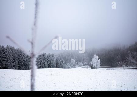 Snowy winter landscape in Black Forest, Germany Stock Photo