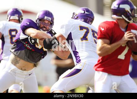 Minnesota Vikings defensive end Jared Allen (69) is shown during the Vikings  and Arizona Cardinals NFL football game in Minneapolis on Sunday, Nov. 7,  2010. (AP Photo/Andy Blenkush Stock Photo - Alamy