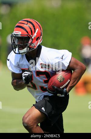 Cincinnati Bengals running back Aaron Brown in action during the NFL  football team's first practice at training camp, Friday, July 27, 2012, in  Cincinnati. (AP Photo/Al Behrman Stock Photo - Alamy