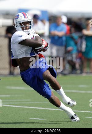 Buffalo Bills' Stevie Johnson (13) runs in for a touchdown during their  35-34 loss to