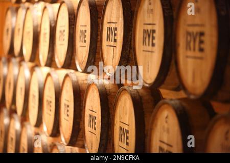 Whiskey Rye aging in barrels Stock Photo