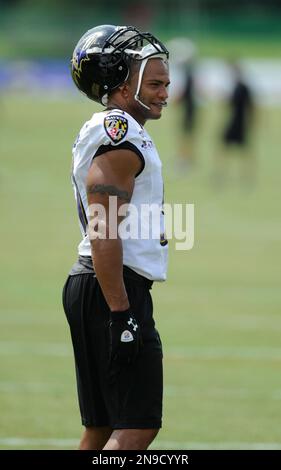 Brendon Ayanbadejo Released By The Baltimore Ravens - Outsports