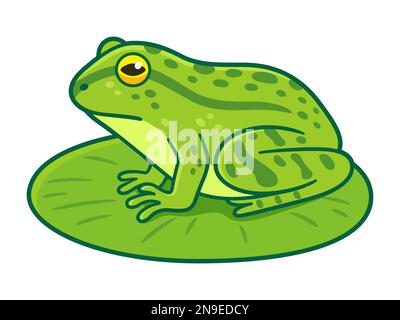 Realistic green frog drawing sitting on lily pad. Cartoon vector clip art illustration. Stock Vector