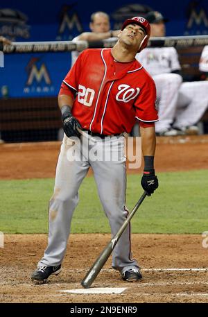 Washington Nationals' Ian Desmond (6) reacts after he struck out during a  baseball game against the Philadelphia Phillies, Saturday, July 31, 2010,  in Washington. (AP Photo/Nick Wass Stock Photo - Alamy