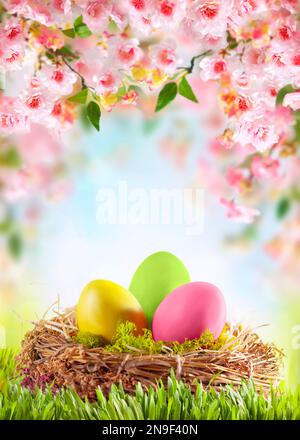Easter composition with colorful Easter eggs in nest on green grass. Beautiful pink and white cherry flowers. Stock Photo