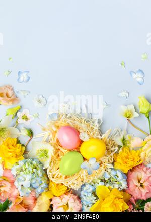 Easter composition with Spring Flowers and Easter eggs in nest on pastel blue background. Top view, copy space. Stock Photo