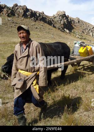 Mongolian lifestyle, Nomadic lifestyle in Western Mongolia Stock Photo ...