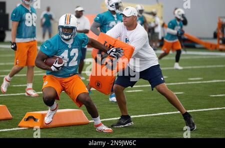 Miami Dolphins fullback Charles Clay (42) in action against the