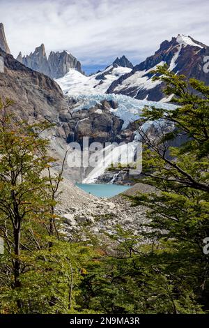 View to the beautiful glaciar Piedras Blancas with lagoon while hiking to Laguna de los Tres and Mount Fitz Roy in Patagonia, Argentina, South America Stock Photo