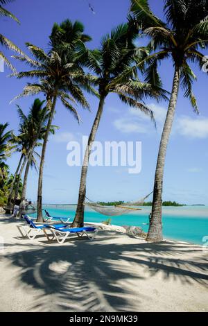 Hammock slung between tall swaying palms in shade by waters edge on Aitutaki Island in South Pacific. Stock Photo