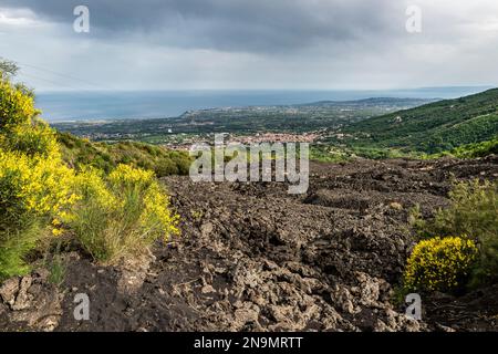 SICILY ZAFFERANA ETNEA Lava Flow Of 1992 Stock Photo Alamy sicily-zafferana-etnea-lava-flow-of-1992-stock-photo-alamy