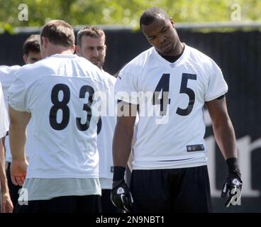 Pittsburgh Steelers' Leonard Pope (45) gets wrapped up by Carolina  Panthers' Thomas Keiser (98), Terrell McClain (97), and R.J. Stanford (25)  during the first half of their pre-season game on Thursday, August