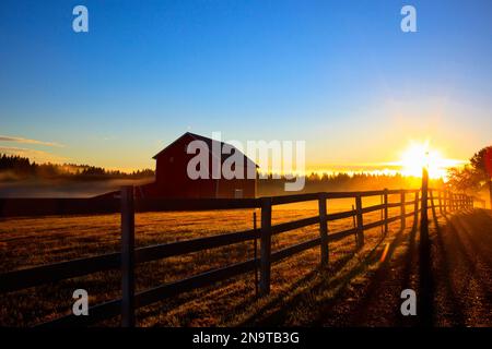 Sunrise over a barn and farmland in the Willamette Valley of the Pacific Northwest; Oregon, United States of America Stock Photo