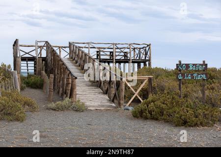 Wooden viewpoint for magellanic penguins at the beach of Cabo Virgenes at kilometer 0 of the famous Ruta40 in southern Argentina, Patagonia Stock Photo