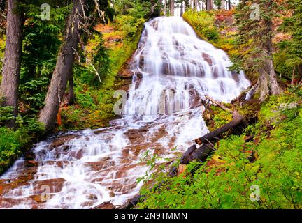 Autumn colours at Umbrella Falls in Mount Hood National Forest, Oregon, USA; Oregon, United States of America Stock Photo