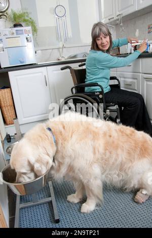 disabled woman in wheelchair in kitchen with her dog Stock Photo