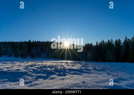 Last sunbeams of the day shine through treetops onto a snowfield Stock Photo