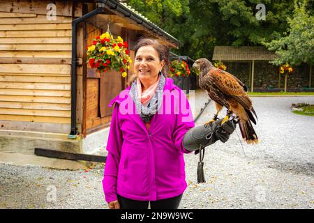 School of Falconry, Ashford Castle, Cong, County Mayo, Ireland Stock Photo  - Alamy