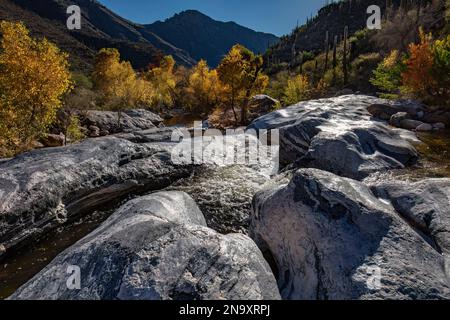 Autumn in Sabino Canyon, Tucson, AZ Stock Photo