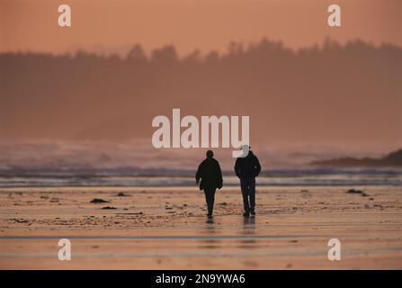 Two people walk along the tidal flats of Clayoquot Sound; Vancouver Island, British Columbia, Canada Stock Photo