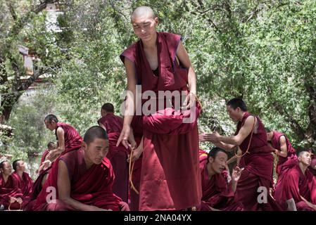 Monks in the debating courtyard; Tibetan Autonomous Region, Tibet Stock Photo
