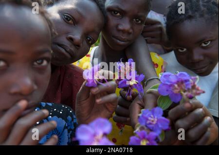 Dozens of children who live on Mount Gorongosa bring sandwich bags full of flower specimens to identify, Gorongosa National Park, Mozambique Stock Photo