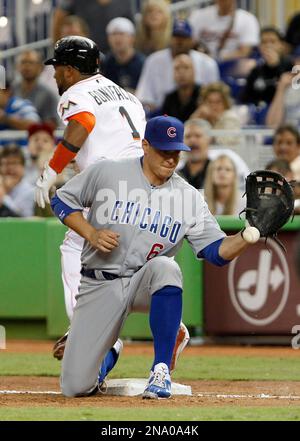 Chicago Cubs first baseman Bryan LaHair, right, celebrates with Starlin  Castro, after the pair scored on LaHair's game tying, two-run home run, off  Cincinnati Reds starting pitcher Mike Leake, during the ninth