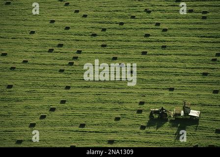 Aerial view of tractor baling hay, Clayoquot Sound, Vancouver Island, BC, Canada; British Columbia, Canada Stock Photo