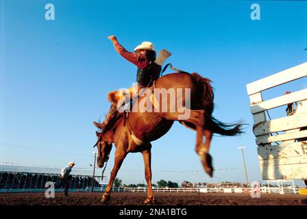 Cowboy riding a bucking bronco; Burwell, Nebraska, United States of America Stock Photo