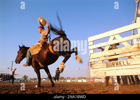 Cowboy riding a bucking bronco; Burwell, Nebraska, United States of America Stock Photo