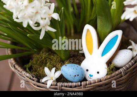 Easter bunny gingerbread cookie laying on the hyacinth flowerpot, moss. Rabbit ears are colored with yellow blue as Ukraine flag. White and blue Easter eggs. White flowers close up. High quality photo Stock Photo
