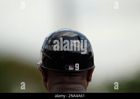 Terry Pendleton of the Atlanta Braves during a Spring Training game against  the St. Louis Cardinals March 16th, 2007 at Champion Stadium in Orlando,  Florida. (Mike Janes/Four Seam Images via AP Images Stock Photo - Alamy