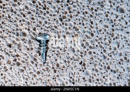 Close-up of a short stainless steel self-tapping screw against the background of aerated concrete Stock Photo