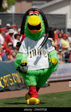 Pittsburgh Pirates fans and the team's mascot, the Pirate Parrot, watch as  security chases down a fan that streaked across the outfield at PNC Park,  late in the game during the National