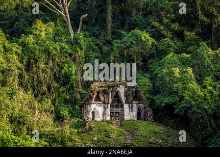 Temple of the Foliated Cross ruins of the Maya city of Palenque; Chiapas, Mexico Stock Photo