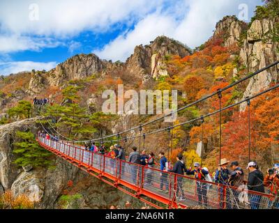 Tourists hike along the famous Geumgang Cloud Bridge and mountain staircase at Daedunsan Provincial Park, enjoying the fall colors in autumn Stock Photo