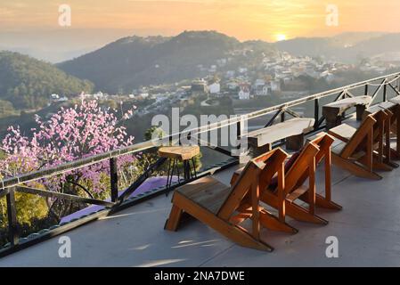 Wooden chairs without people against sunset and sakura tree in mountains of Da Lat in Vietnam Stock Photo