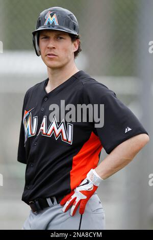 Miami Marlins Chris Coghlan during a game against the New York Yankees in  Miami,Florida on April 1,2012 at Marlins Park.(AP Photo/Tom DiPace Stock  Photo - Alamy