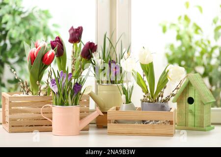 Different beautiful spring flowers with birdhouse on window sill Stock ...