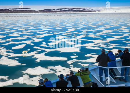 Curious Polar Bear (Ursus maritimus) close approach to National Geographic Explorer, as tourists view and take photographs; Svalbard, Norway Stock Photo